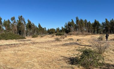 Parcela en Venta en litueche