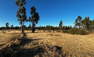 Parcela en Venta en litueche