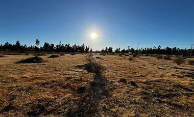 Parcela en Venta en litueche