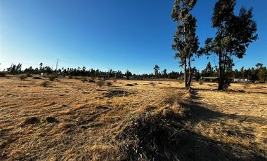 Parcela en Venta en litueche