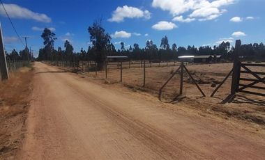 Parcela en Venta en litueche