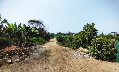 Terrenos Agricolas Venta CAL. Unidad Catastral, ex Fundo Las Salinas - LURIN