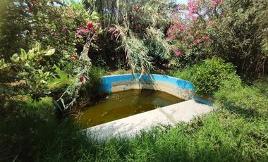 Terrenos Agricolas Venta CAL. Unidad Catastral, ex Fundo Las Salinas - LURIN