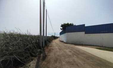 Terrenos Agricolas Venta CAL. Unidad Catastral, ex Fundo Las Salinas - LURIN