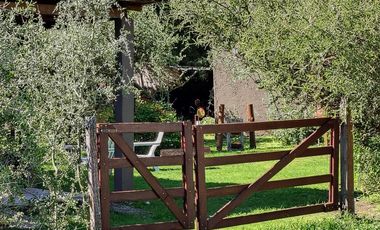 Complejo de cabañas en Arroyo de los Patos | 3 unidades | Capacidad 13 personas | Potencial de renta