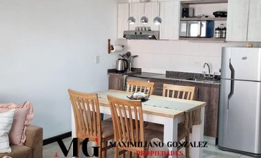 Depto alquiler San Martin de los Andes