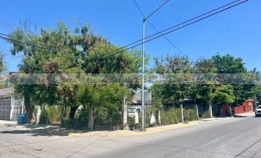 Matamoros, Montemorelos