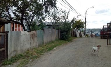 HAZ REALIDAD TU PROYECTO EN EL CORAZÓN DE CHILOÉ