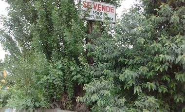 HAZ REALIDAD TU PROYECTO EN EL CORAZÓN DE CHILOÉ