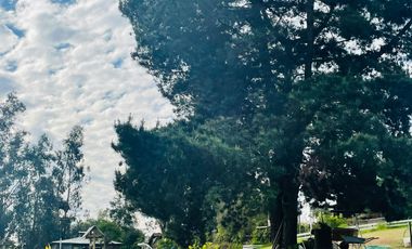 VENDO HERMOSA PARCELA  UBICADA  CAMINO  A RAPEL