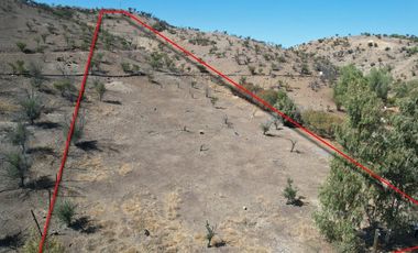 VENTA PROYECTO CASA, en parcela con terreno de 9.000mts2, vista 360° Hacie Chacabuco