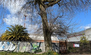 Gran terreno sector Paicaví