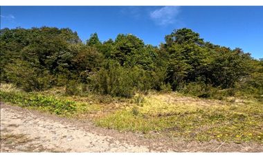 Chonchi / 34.000 mts2