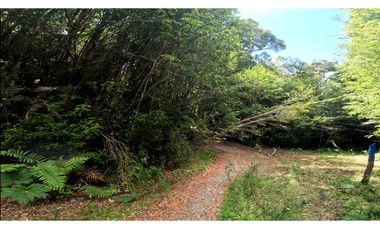 Chonchi / 34.000 mts2