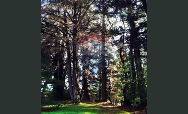 ¡¡¡INVERSIONISTAS !!! ACCESO RESERVA  LAHUEN ÑADI