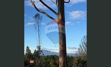 ¡¡¡INVERSIONISTAS !!! ACCESO RESERVA  LAHUEN ÑADI