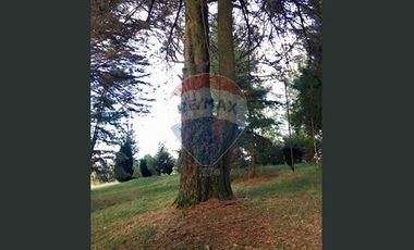 ¡¡¡INVERSIONISTAS !!! ACCESO RESERVA  LAHUEN ÑADI