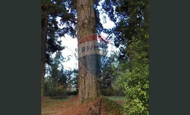 ¡¡¡INVERSIONISTAS !!! ACCESO RESERVA  LAHUEN ÑADI