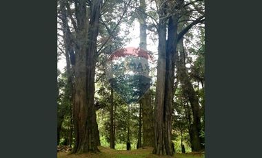 ¡¡¡INVERSIONISTAS !!! ACCESO RESERVA  LAHUEN ÑADI