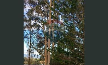 ¡¡¡INVERSIONISTAS !!! ACCESO RESERVA  LAHUEN ÑADI