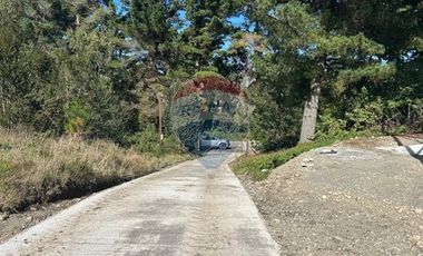 Lagunitas, 5.000 m2 Reserva Lahuen Ñadi. P. Montt