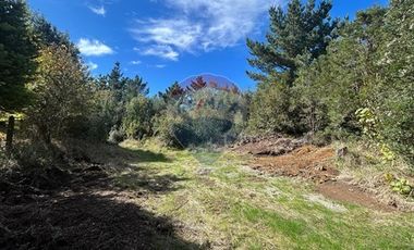 Lagunitas, 5.000 m2 Reserva Lahuen Ñadi. P. Montt