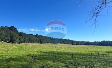 Lagunitas, 5.000 m2 Reserva Lahuen Ñadi. P. Montt