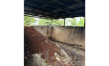 FINCA DE ALTISIMA PRODUCTIVIDAD CAFE Y PLTANO EN QUIMBAYA