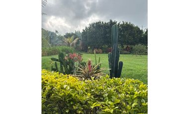FINCA DE ALTISIMA PRODUCTIVIDAD CAFE Y PLTANO EN QUIMBAYA