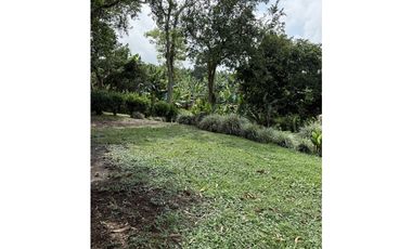 FINCA DE ALTISIMA PRODUCTIVIDAD CAFE Y PLTANO EN QUIMBAYA