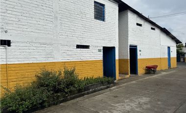 FINCA DE ALTISIMA PRODUCTIVIDAD CAFE Y PLTANO EN QUIMBAYA