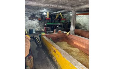 FINCA DE ALTISIMA PRODUCTIVIDAD CAFE Y PLTANO EN QUIMBAYA