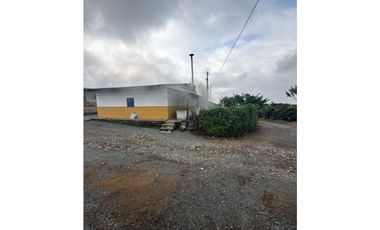 FINCA DE ALTISIMA PRODUCTIVIDAD CAFE Y PLTANO EN QUIMBAYA