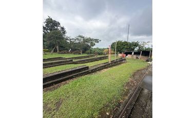 FINCA DE ALTISIMA PRODUCTIVIDAD CAFE Y PLTANO EN QUIMBAYA
