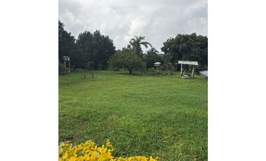 FINCA DE ALTISIMA PRODUCTIVIDAD CAFE Y PLTANO EN QUIMBAYA