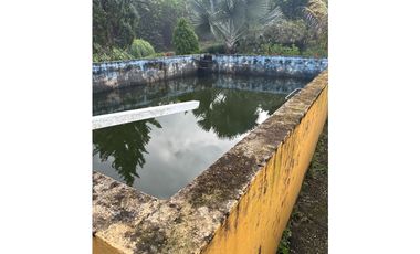 FINCA DE ALTISIMA PRODUCTIVIDAD CAFE Y PLTANO EN QUIMBAYA