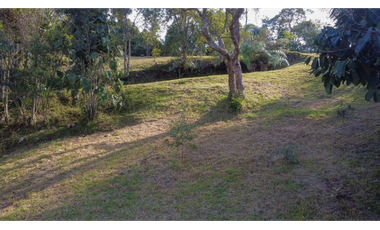 Vende Finca en medio del bosque El Placer-sta Elena