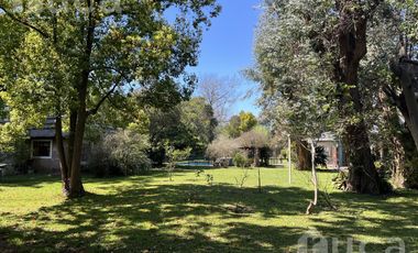 ALQ VERANO | Importante casa con enorme Pileta y hermoso Parque Barrio Parque Alta Vista