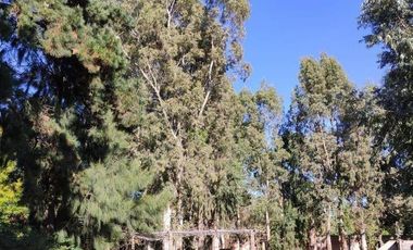 CASA QUINTA SOBRE LOTE DE 7600M2 EN CAMINO VIEJO A MIRAMAR