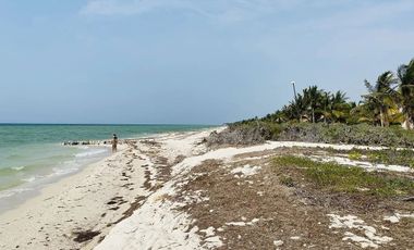 TERRENO EN LA PLAYA DE CHICXULUB PUERTO EN MERIDA YUCATAN