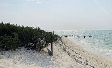 TERRENO EN LA PLAYA DE CHICXULUB PUERTO EN MERIDA YUCATAN