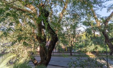 Departamento triplex, frente al club CASI, con 2 terrazas propias, parrilla y 2 cocheras. San Isidro