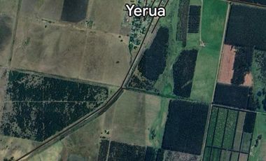 Campo en  Colonia Yerua