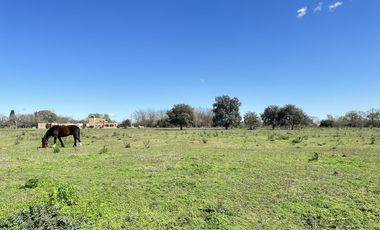 Venta terreno en Lobos, lotes de casi 1 ha
