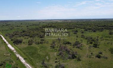 CAMPO GANADERO 1635 has. Zona San Javier