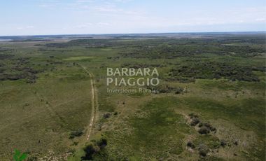 CAMPO GANADERO 1635 has. Zona San Javier