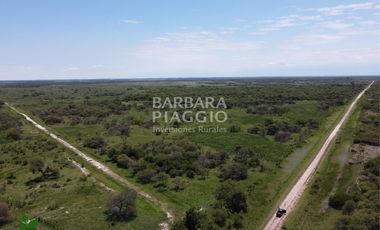 CAMPO GANADERO 1635 has. Zona San Javier