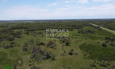 CAMPO GANADERO 1635 has. Zona San Javier