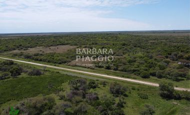 CAMPO GANADERO 1635 has. Zona San Javier