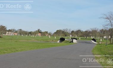 Casa en venta en una planta  en Greenville Polo Hudson Berazategui